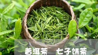 普洱茶 七子饼茶/2023041144028